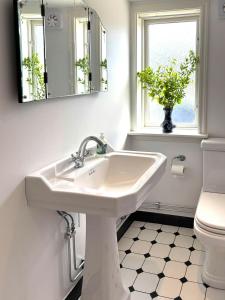 a bathroom with a sink and a toilet and a mirror at Romantic Summer House On Orust in Stillingsön