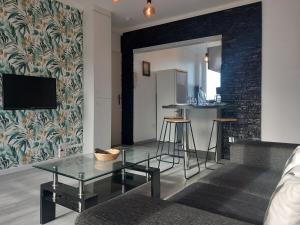 TV a/nebo společenská místnost v ubytování Appartement -3 chambres privatives-