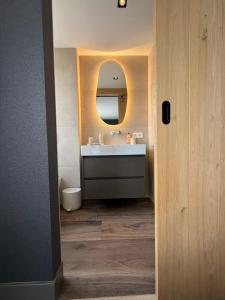 een badkamer met een wastafel en een spiegel bij Studio Veluwe in Voorthuizen +39 foto's