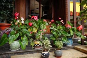 Zahrada ubytování Hotel Orchard Coorg