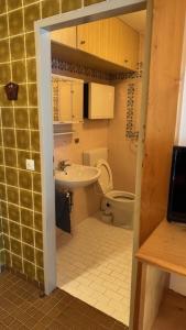 a small bathroom with a sink and a toilet at Haus Stöckl Top 14 in Königsleiten +11 photos