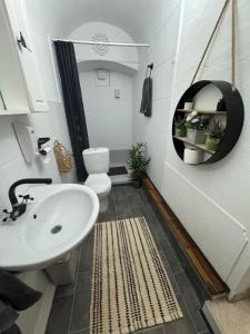 a bathroom with a sink and a toilet and a mirror at Korona Apartman Székesfehérvár in Székesfehérvár +33 photos