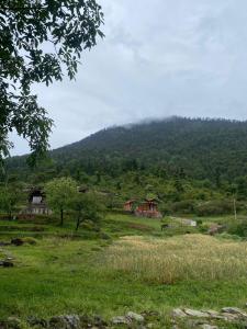 ein grünes Feld mit Häusern und einem Berg im Hintergrund in der Unterkunft The Goat Village in Bhatwāri + 36 Fotos
