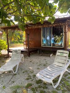 Zahrada ubytování MONITA VILLA