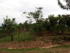 Fotografie z fotogalerie ubytování IMANGA Hill Place v destinaci Kigali