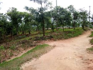 Fotografie z fotogalerie ubytování IMANGA Hill Place v destinaci Kigali