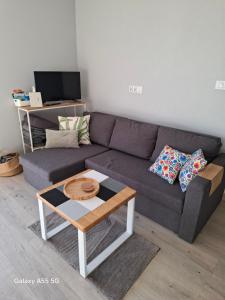 Et tv og/eller underholdning på Agroturystyka nad stawem