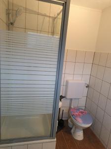 a bathroom with a toilet and a glass shower at Ferienwohnung Schack in Hoisdorf