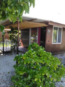 een huis met een struik ervoor bij MONITA VILLA in Tiputa +22 foto's