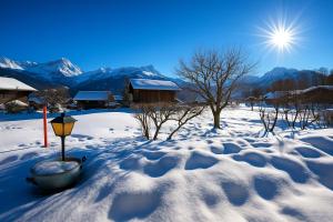 a snow covered yard with a bowl in the snow at Chalet familiale spacieux - près de Villars in Huémoz