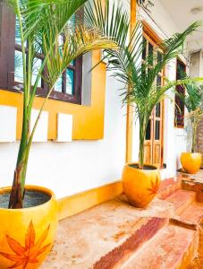 Fotografie z fotogalerie ubytování Dream beach sea view v destinaci Puduččéri + 19 fotografií