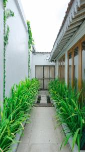 a hallway with plants in front of a building at Sampai Villa Nayan in Yogyakarta
