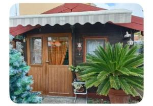 a small house with a wooden door and a plant at Lo Chalet di Loredana in Pisa +10 photos