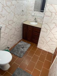 a bathroom with a toilet and a sink at Apartamento aconchegante in Belém