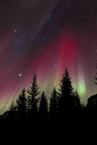 a starry sky with the milky way and trees at Northern Lights View Beautiful Berg in Kuberg