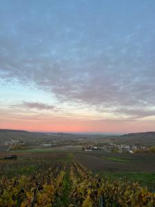 a view of a farm field with the sunset in the background at Les Chantereines in Brugny-Vaudancourt