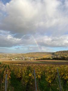 a rainbow in the sky over a vineyard at Les Chantereines in Brugny-Vaudancourt