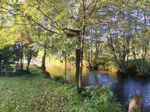 a river with trees next to a field and water at Amtawa - Bien-être et Ressourcement in Kirchberg
