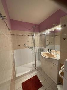 ein Bad mit einer Badewanne, einer Dusche und einem Waschbecken in der Unterkunft Casino des fleurs in Vichy