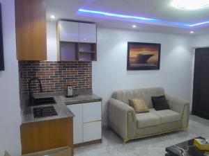 ラゴスにあるAb comfort apartmentのソファとキッチンのあるリビングルーム
