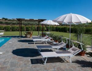eine Gruppe von Stühlen und Sonnenschirmen neben einem Pool in der Unterkunft B&B 4 Stagioni in Dattilo