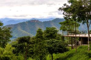 Příroda nedaleko chaty