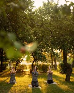 Φυσικό τοπίο κοντά σε αυτό το κατάλυμα σε φάρμα