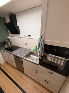 Kuchyň nebo kuchyňský kout v ubytování Ferien- und Handwerkerwohnung