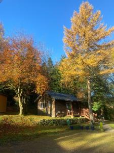 ダブリンにあるWillow Lodgeの前に木がある家