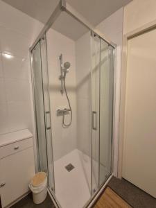 una ducha con mampara de cristal en un baño en Family apartment at the foot of the slopes, en Les Déserts