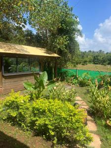 Κήπος έξω από το The Peace Hostel +40 φωτογραφίες