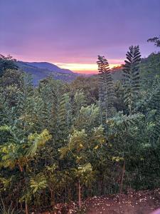 Φωτογραφία από το άλμπουμ του HAVEN by Jayabima jiva- Free pick up From Kandy σε Talatuoya +21 φωτογραφίες