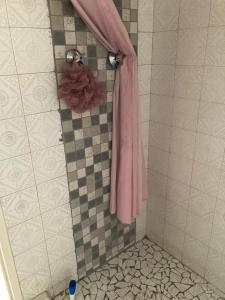 a shower with a pink shower curtain in a bathroom at Halibut Suite in Strand