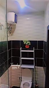 ein Badezimmer mit Toilette, Ablage und Pflanze in der Unterkunft Luxury 2 bedroom flat apartment heart of Lekki in Maiyegun