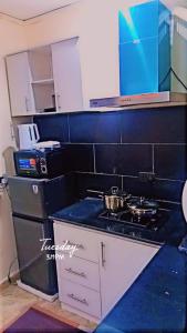 eine Küche mit Herd und blauer Arbeitsplatte in der Unterkunft Luxury 2 bedroom flat apartment heart of Lekki in Maiyegun