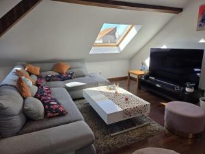 a living room with a couch and a tv at Appartement proche Strasbourg in Bischheim
