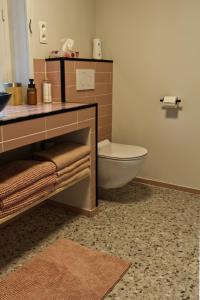 a bathroom with a toilet and a sink at Willow Hideaway in Arendonk