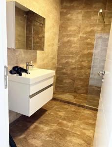 a bathroom with a sink and a shower at Sunflower Apartments in Prishtinë