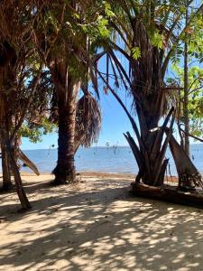 a beach with trees and birds in the water at Chácara Maranata in Manaus
