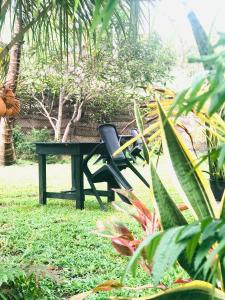 Κήπος έξω από το New Ocean Breeze Madiha