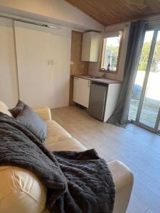 un salon avec un canapé et une cuisine dans l'établissement Kiwi Beach Bach - Hot Tub - 2 bed, à Whangapoua
