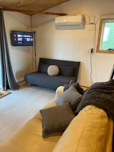 un salon avec un canapé et une télévision dans l'établissement Kiwi Beach Bach - Hot Tub - 2 bed, à Whangapoua 14 autres photos