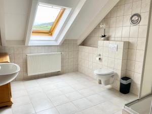 a bathroom with a toilet and a sink at Gästewohnung auf Gold's Obsthof in Karlburg +14 photos