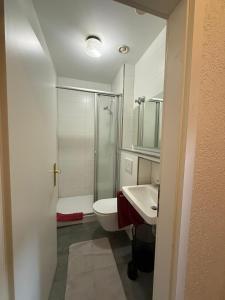 a bathroom with a shower and a toilet and a sink at Hotel Nassauer Hof Frankfurt in Frankfurt/Main
