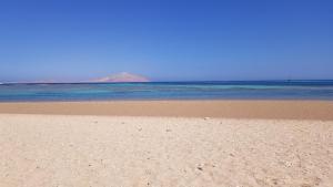 Φυσικό τοπίο κοντά σε αυτό το διαμέρισμα