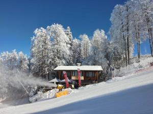 a small cabin in the snow with snow covered trees at Finish Line Guest House in Borovets