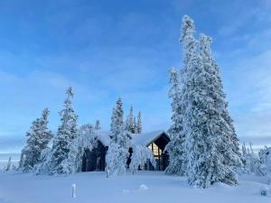 a cabin in the snow with snow covered trees at Mountain Cabin With Views Over Jämtland's Expanse in Storhågna