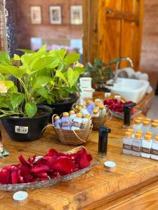 a table with some plants and flowers and bottles ofentedentedented at Suíte Rustica Aconchego - Com Banheira de Hidromassagem in Campos do Jordão