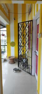 a room with a black gate and a yellow and white wall at Backpackers' Haven in Guwahati +1 photo