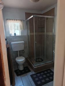 a bathroom with a toilet and a glass shower at Anker Guesthouse in Philippolis